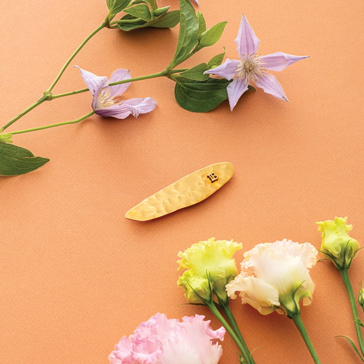 BalmainHair_LimitedEdition_Printemps_Leaf_Slide_LE_HJ_PT_SLIDE_SS25_C2_25_Mood_02_SOCIAL_800x800.jpg